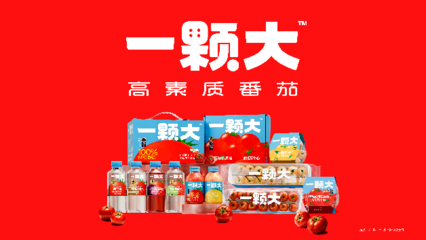 一顆大櫻桃番茄的東南亞之旅 中國蔬菜“出?！卑鎴D再拓展